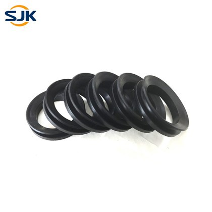 Joints V-ring